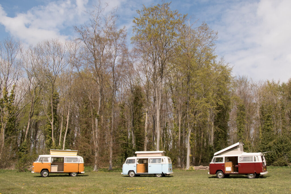 Three campervans near the woods